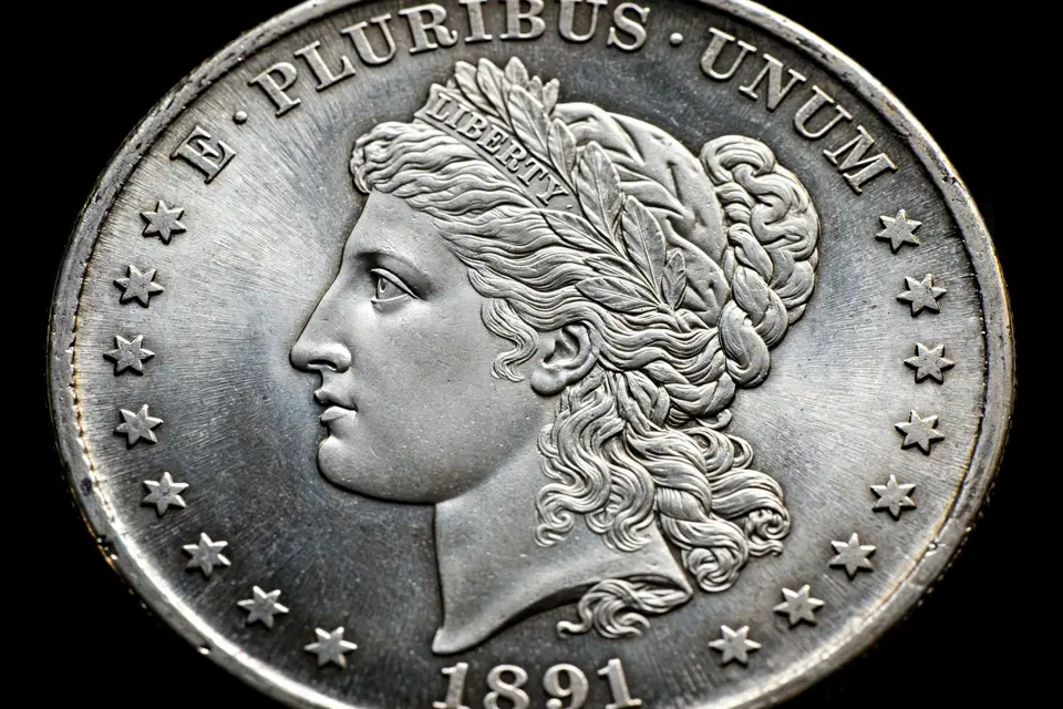 how to grade a coin — Morgan dollar obverse macro showing Liberty cheek and hair, the key wear points for grading