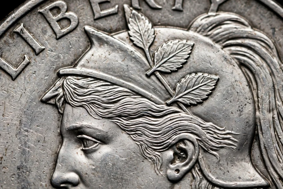 how much is a Standing Liberty quarter worth — Standing Liberty quarter Liberty head detail showing helmet leaves, hairline and ear hole for Full Head designation
